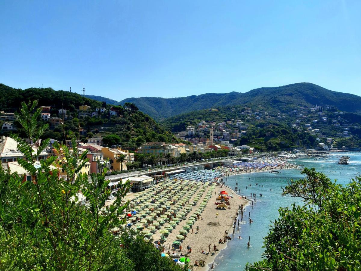 Cinque Terre & Portofino Lodge-Dependance Bracco モネーリア エクステリア 写真