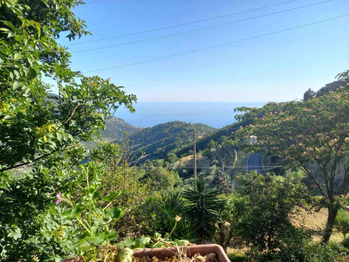 Cinque Terre & Portofino Lodge-Dependance Bracco モネーリア エクステリア 写真
