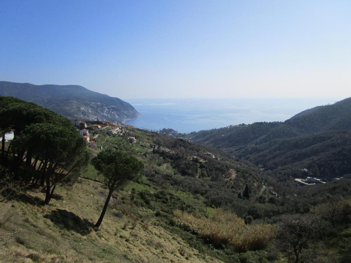 Cinque Terre & Portofino Lodge-Dependance Bracco モネーリア エクステリア 写真
