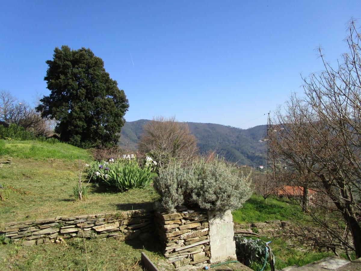 Cinque Terre & Portofino Lodge-Dependance Bracco モネーリア エクステリア 写真