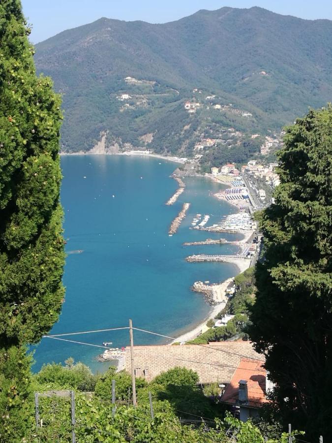 Cinque Terre & Portofino Lodge-Dependance Bracco モネーリア エクステリア 写真